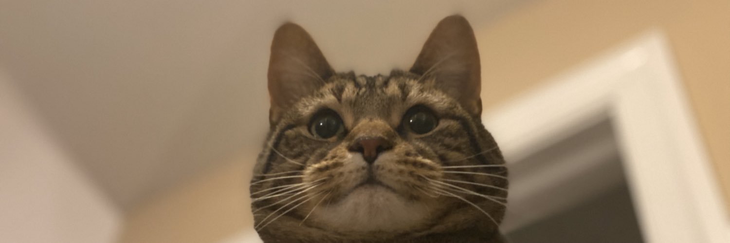 thecrencat's profile banner image
