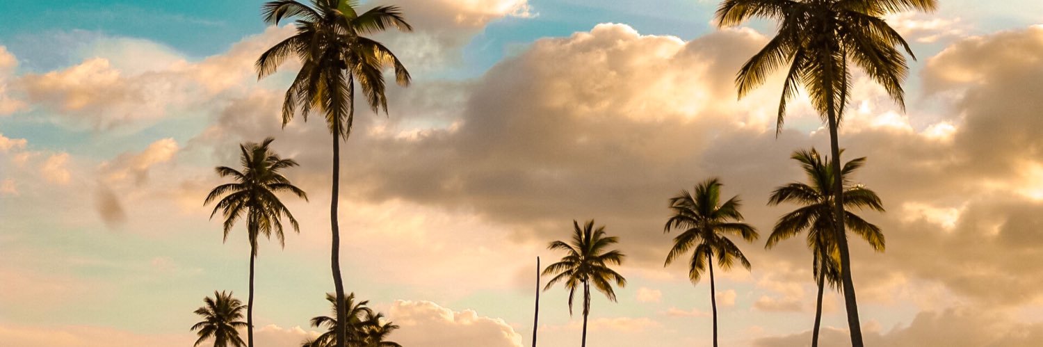 rodzkm's profile banner image