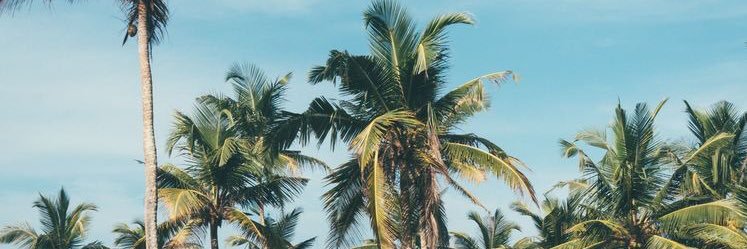 ansrbn's profile banner image