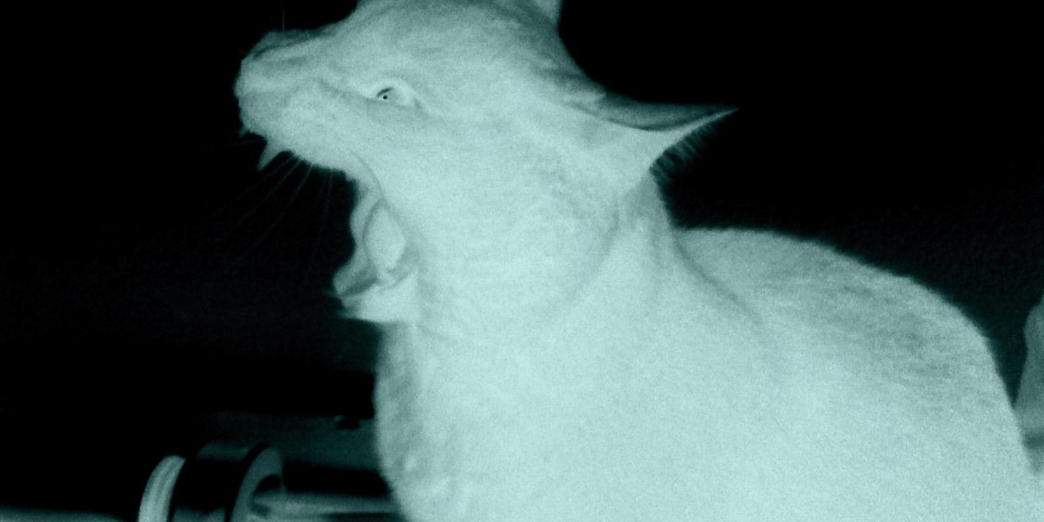 ripahl's profile banner image