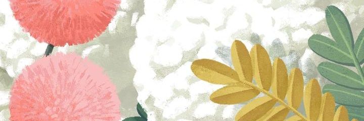 miaph's profile banner image