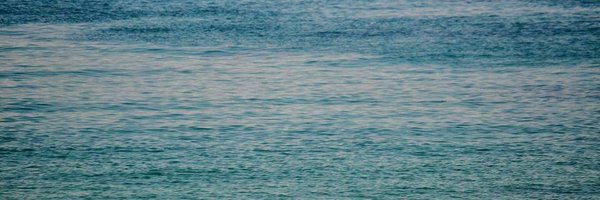GCC_ Profile Banner