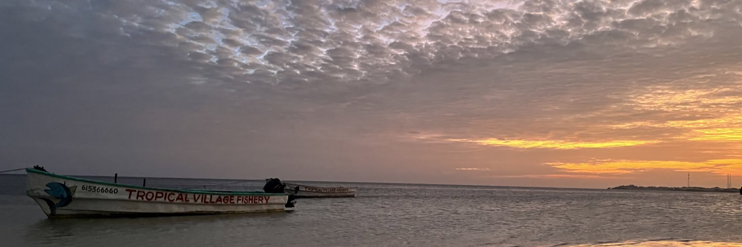mhadawe's profile banner image