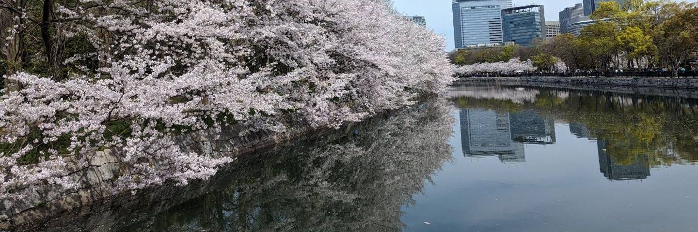 sakurasake2015's profile banner image