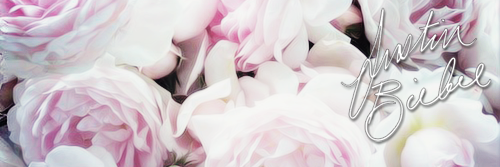YolandaAgustien's profile banner image