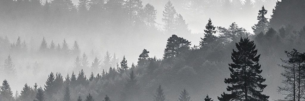 Shruti Sharma banner