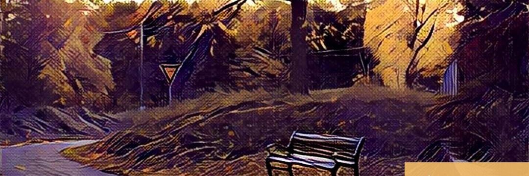 AsryAssary's profile banner image