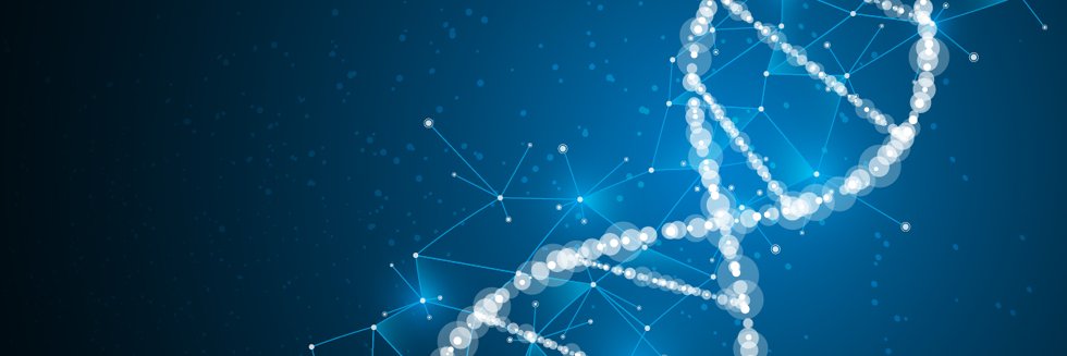 Ronni da Silva banner