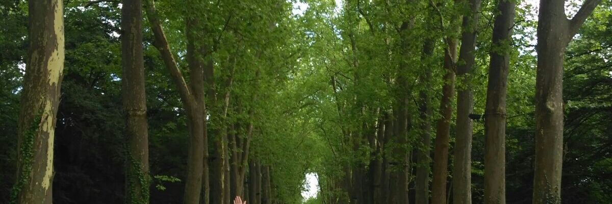 lidia_uller's profile banner image