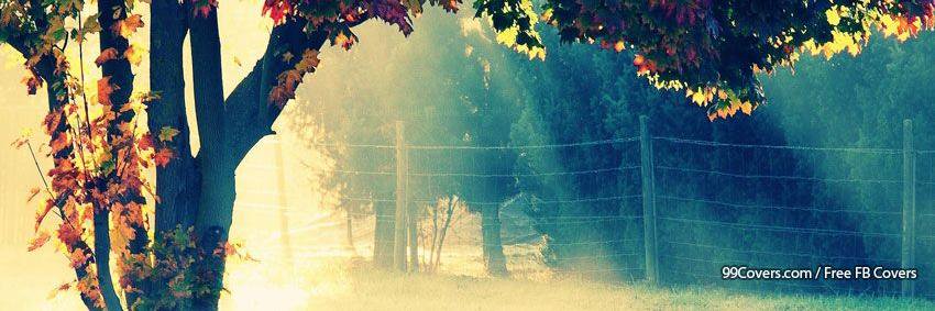 magneta_lane's profile banner image