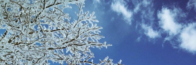 violetbookshelf's profile banner image
