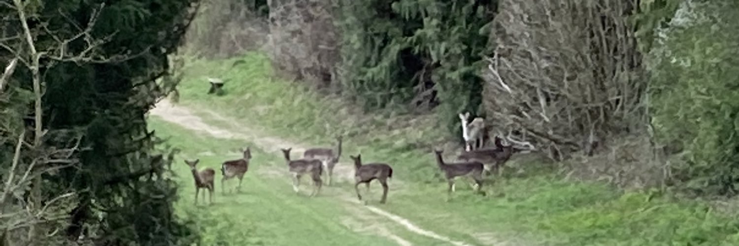 Paul wainwright banner