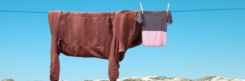 MatiasFeider's profile banner image