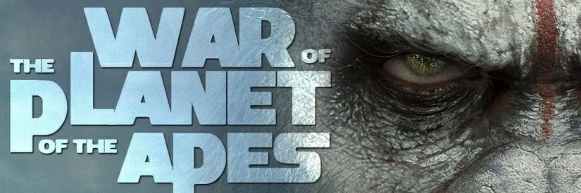 RobotTiger1's profile banner image