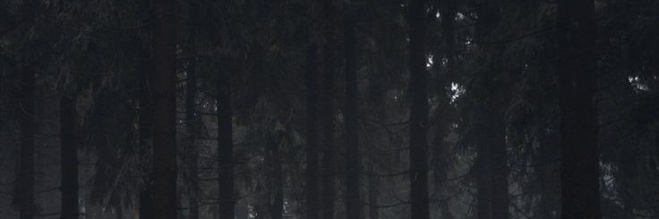 krtlvch's profile banner image