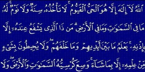 #freepalestine 🐝 ابن كنعان banner