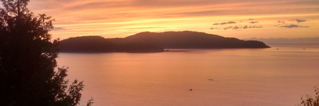 Kathleen Hefferon, PhD banner