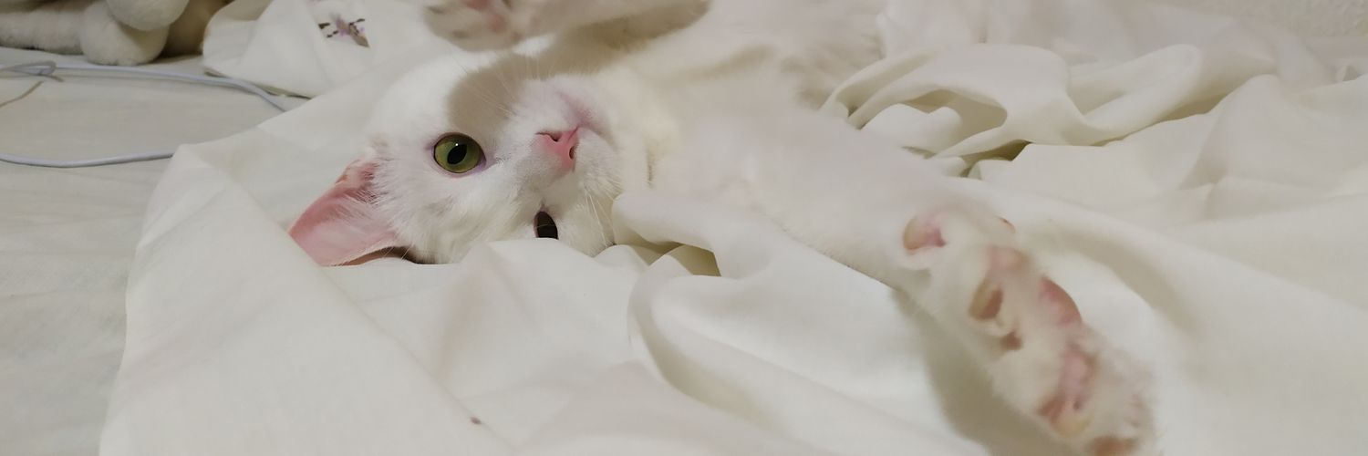 NinaGNvs's profile banner image