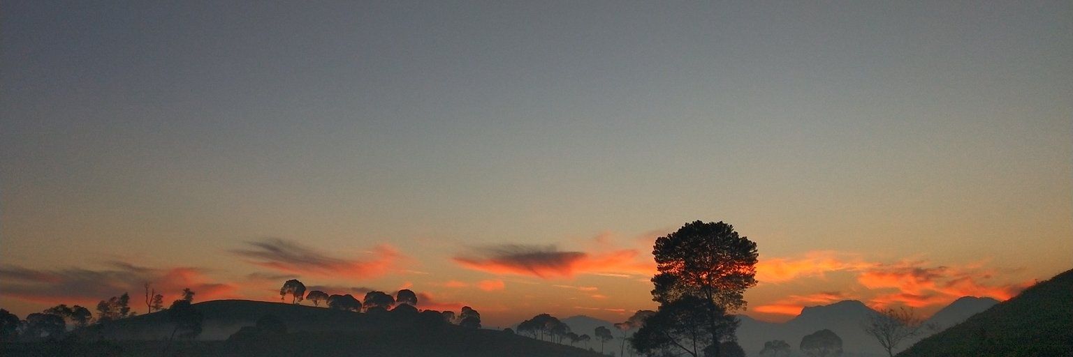 owsemthv's profile banner image