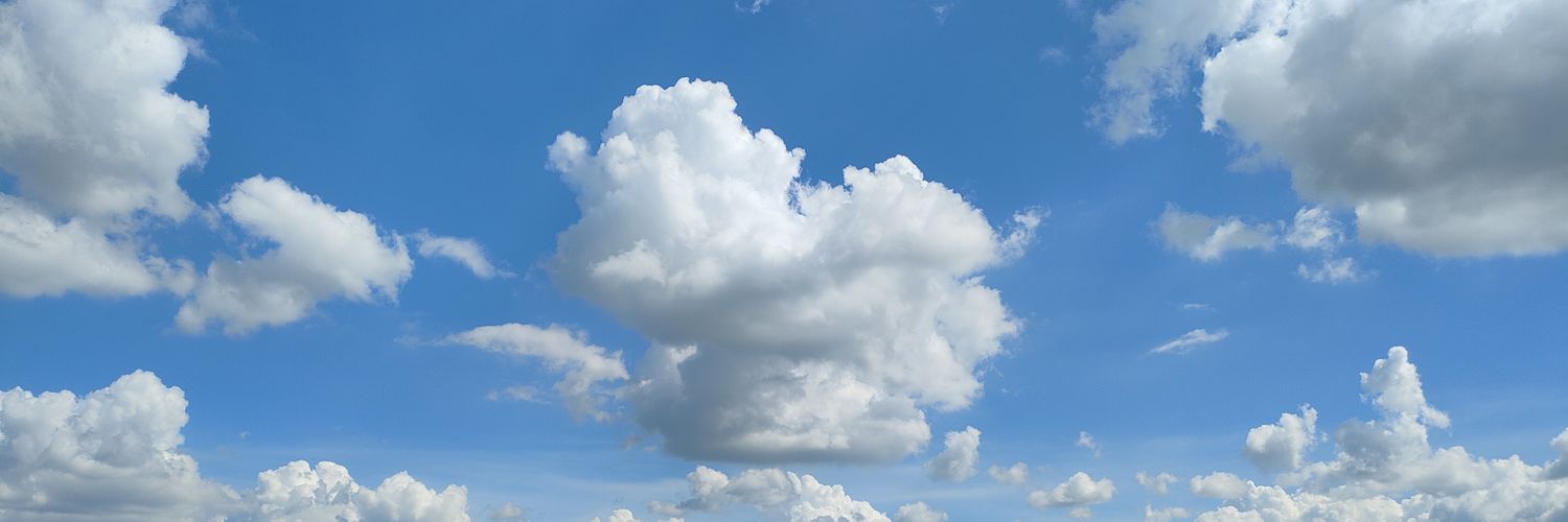 Trufflement's profile banner image