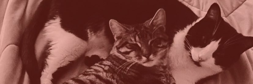 jakemesewicz's profile banner image