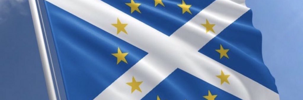 HaMFaCe's banner