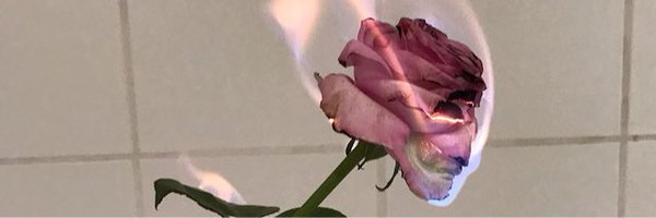 H_PD13's profile banner image