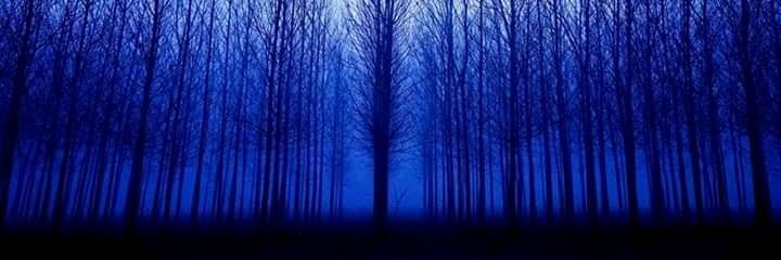 Varunkumar30999's profile banner image