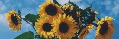 j14_da's profile banner image