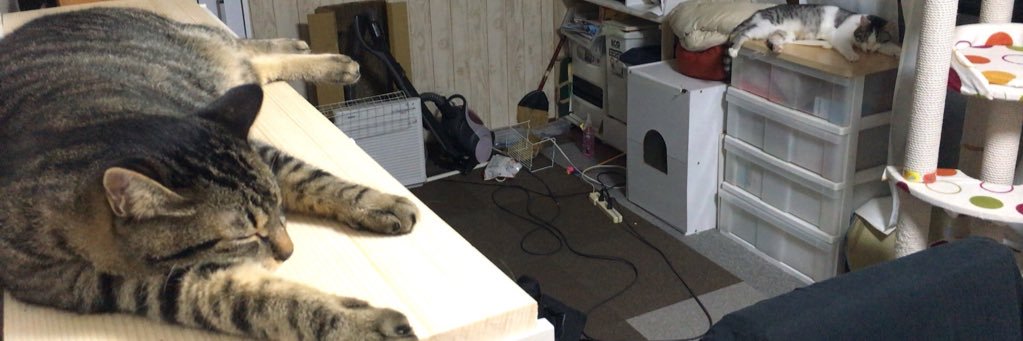 oddgai's profile banner image