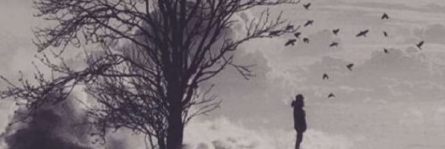 lalosh56's profile banner image
