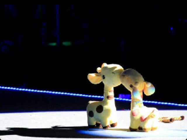 cindy claudia banner