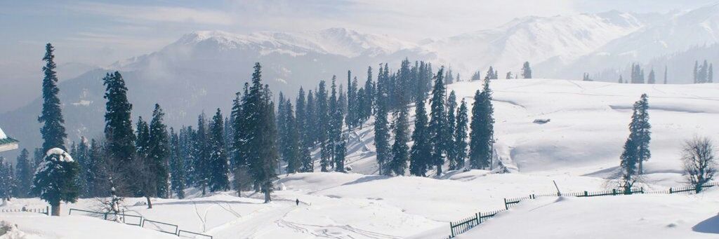 TowheedSheikh2's profile banner image