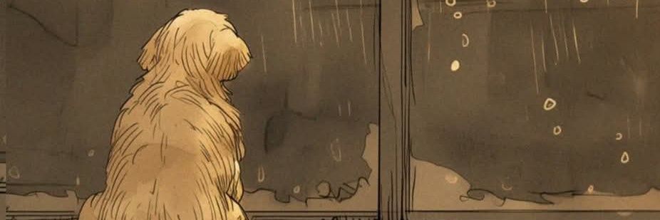 euvalesko's profile banner image