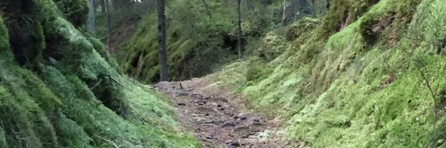 🌿Venter på vår🍃🪵☘️ banner
