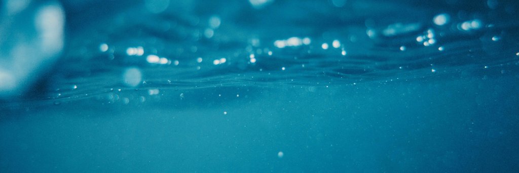 ataliabarbuzano's profile banner image