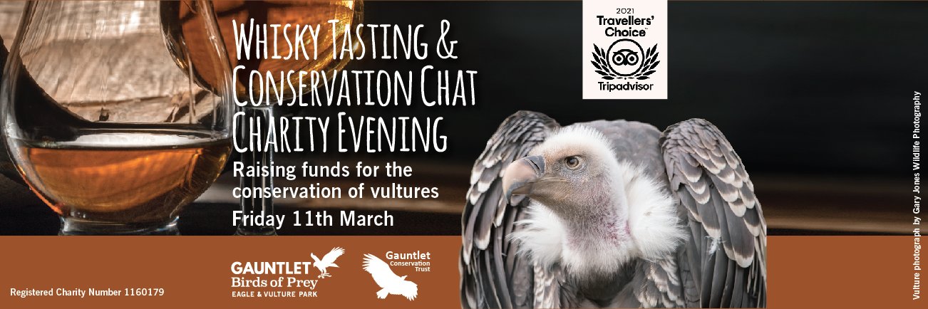 Gauntlet Birds of Prey, Knutsford banner