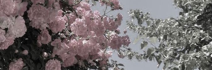 oo_OKame's profile banner image