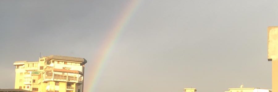 ssilviamani's profile banner image