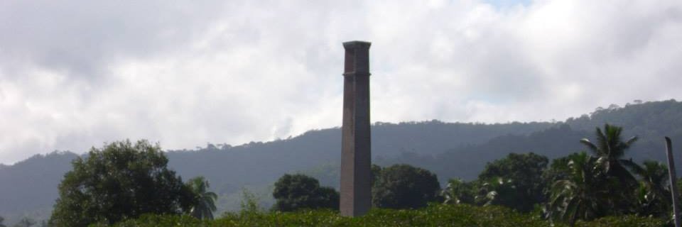 Vinicius Nikima banner