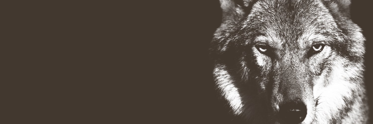 lysias10's profile banner image
