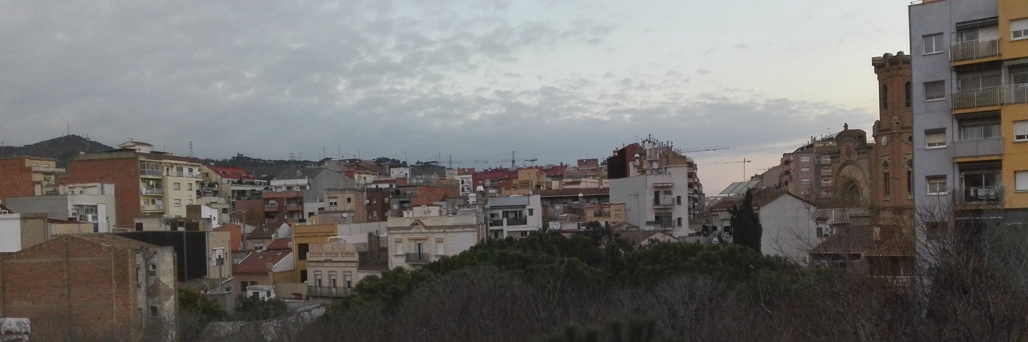 Ferran Wesselo i Comas banner