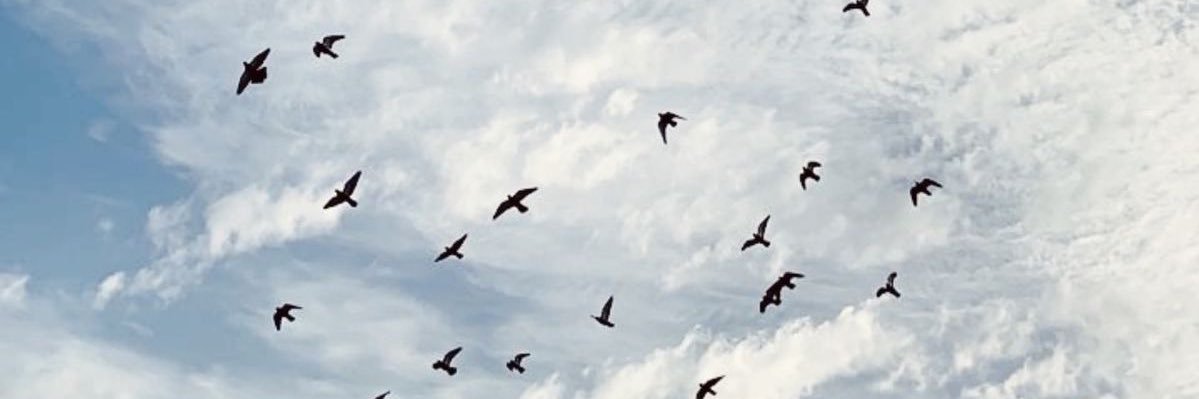 noriqueenn's profile banner image