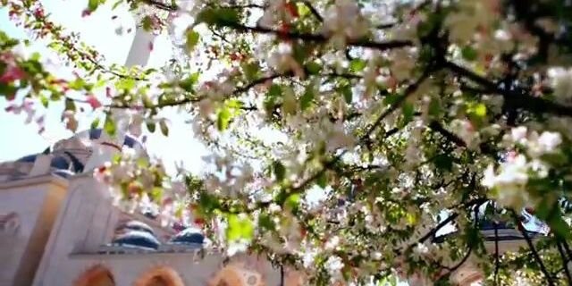 ALRASEE2's profile banner image