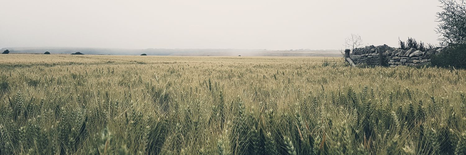 DanLongmire's profile banner image