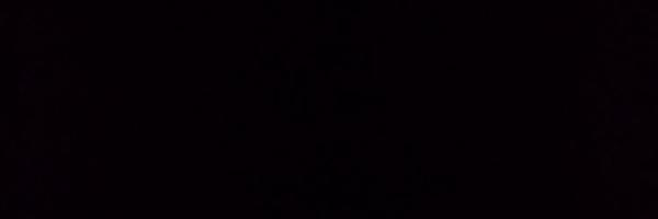 whatstodaysmath Profile Banner