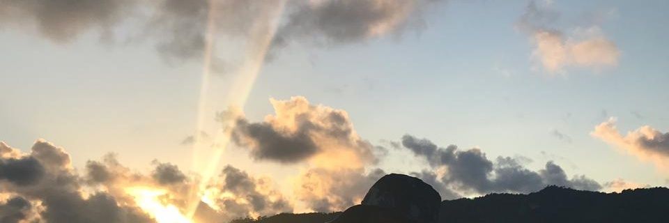 GustavoMasera's profile banner image