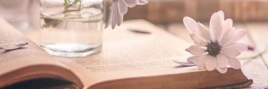خُـــزامى banner