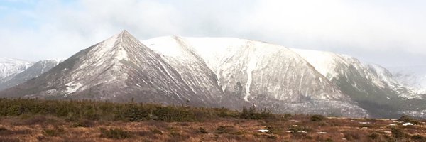 JenJennings15 Profile Banner