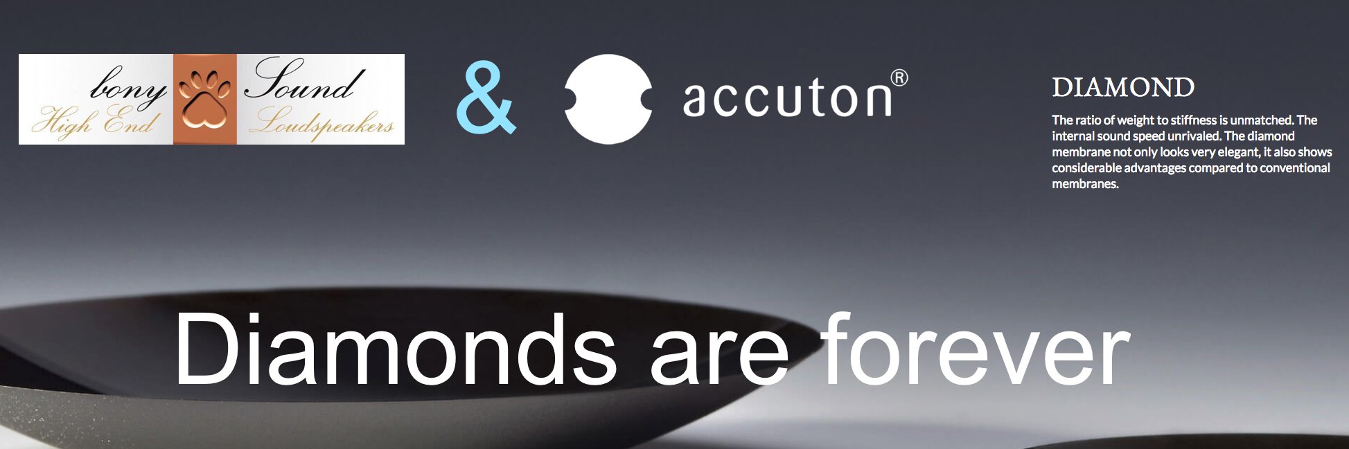 bonySound's profile banner image